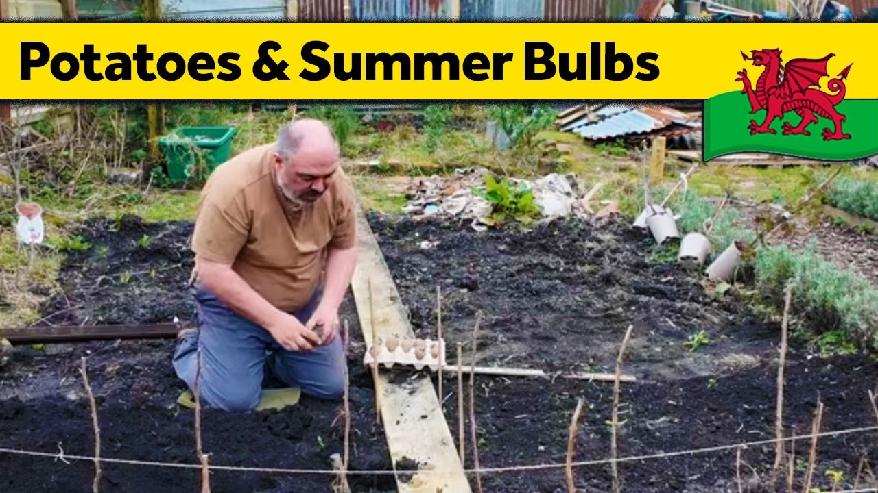 395. Going Potty over Pots & Bulbs - Slow Living Alone in Wales