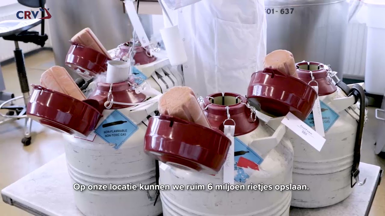Rondleiding: Semen Processing Center en Internationaal Logistiek Centrum - CRV