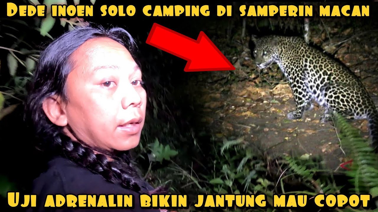 SOLO CAMPING IN SAMPERIN RAJA FOREST AUTO H4NTUNG WANTS TO DISPLAY