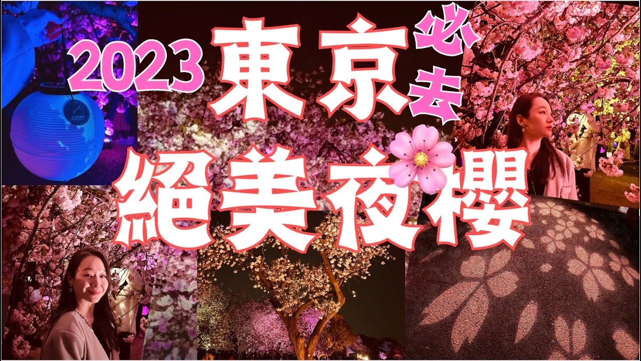 🌸『賞櫻必去』東京最浪漫櫻花🌸｜夜間櫻花燈光秀✨
