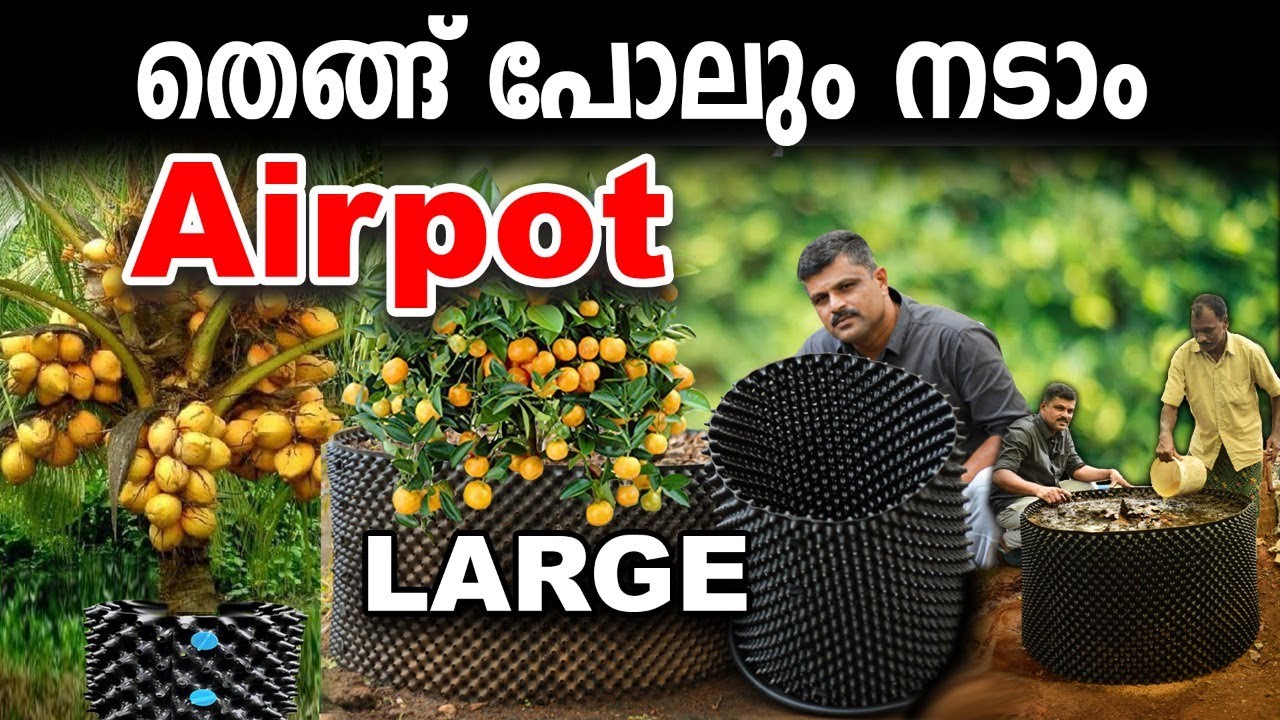 ഞെട്ടിയോ, തെങ്ങും നടാം വളവും ഉണ്ടാക്കാം | AIRPOT LARGE | 50 രൂപ മുതല്‍ | MiracleFarmHouse