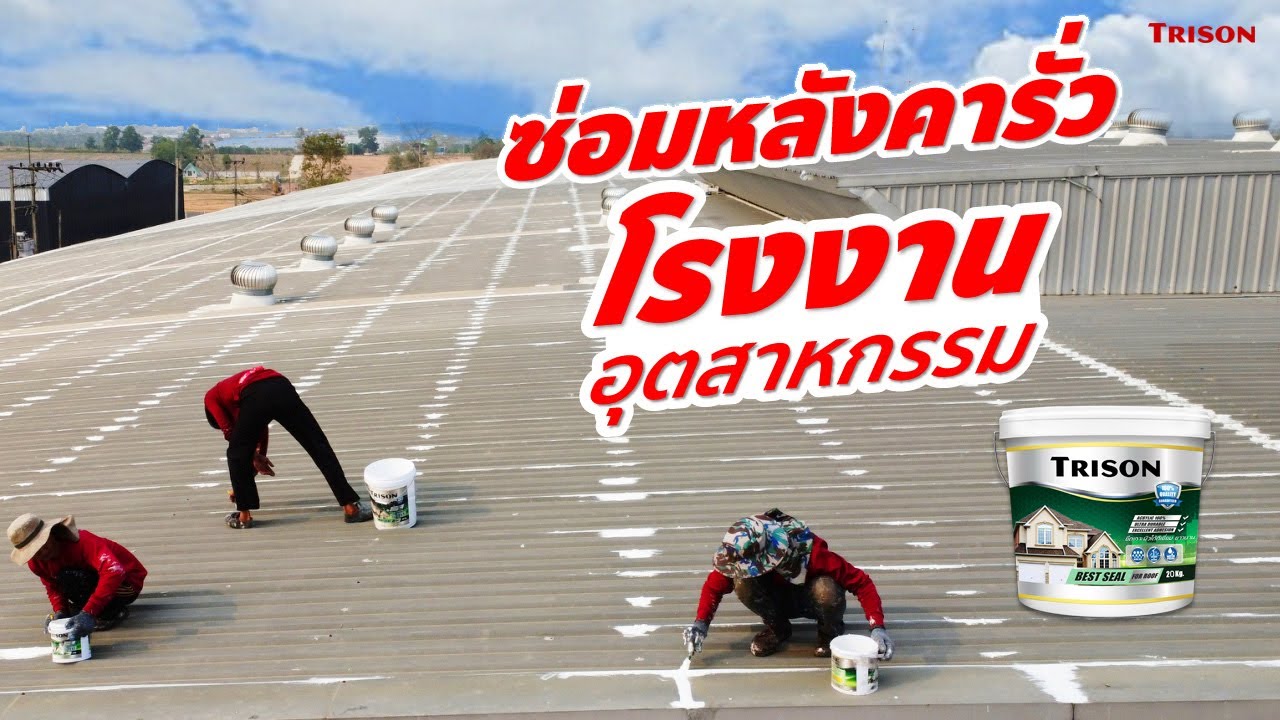 ซ่อมหลังคารั่วโรงงานอุตสาหกรรมปิ่นทอง ชลบุรี โดยช่างหลังคา Trison