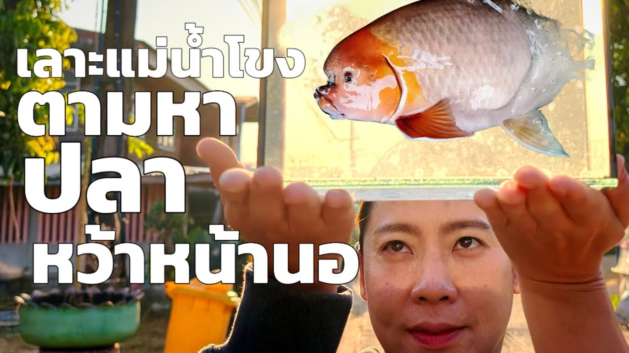 เลาะแม่น้ำโขง ออกตามหา 