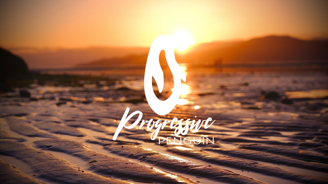 Positive Emotions - Melodic Progressive House Mix 2020 (15)