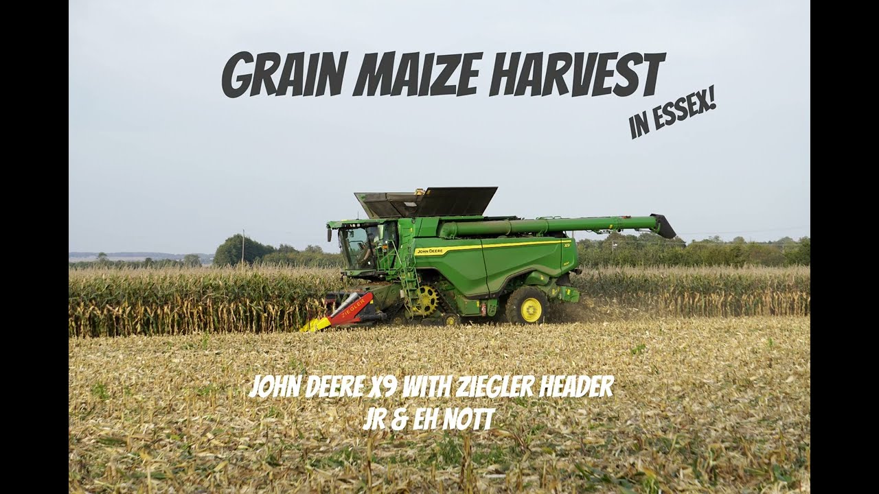 Grain Maize (Corn) Harvest with a John Deere X9 in Essex - really unusual!