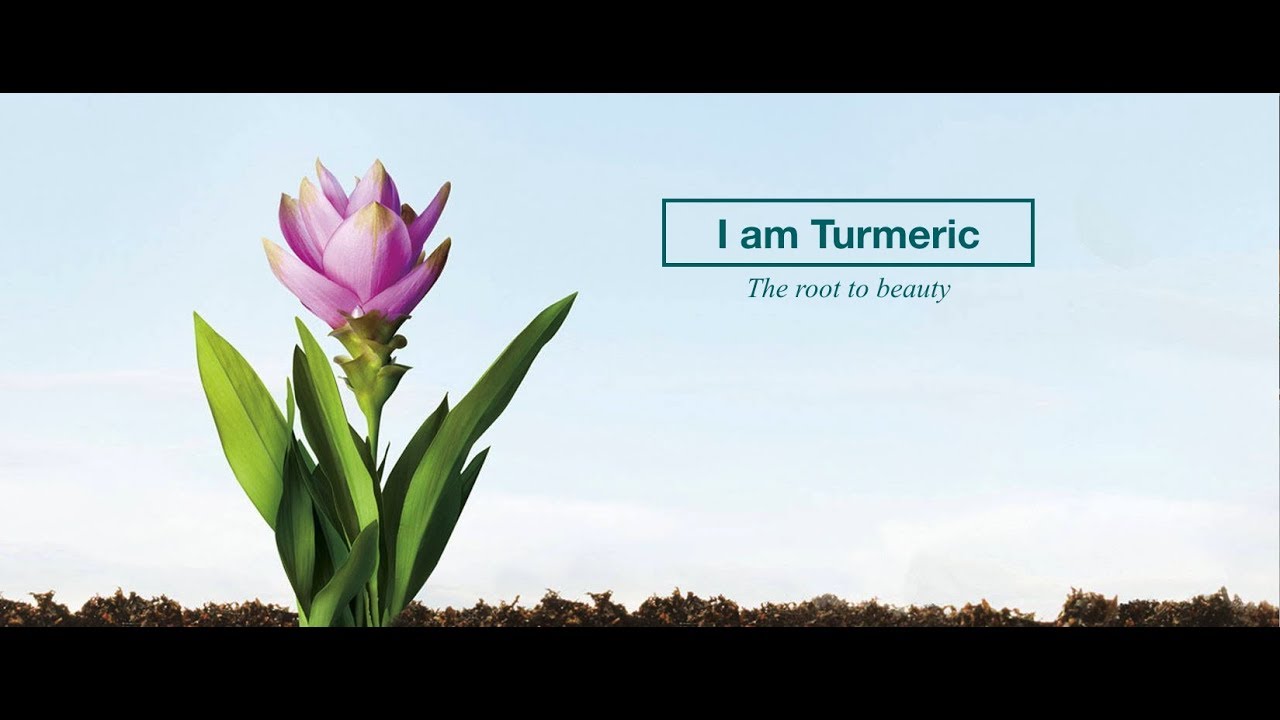 I Am Turmeric: The Root To Beauty (8sec)
