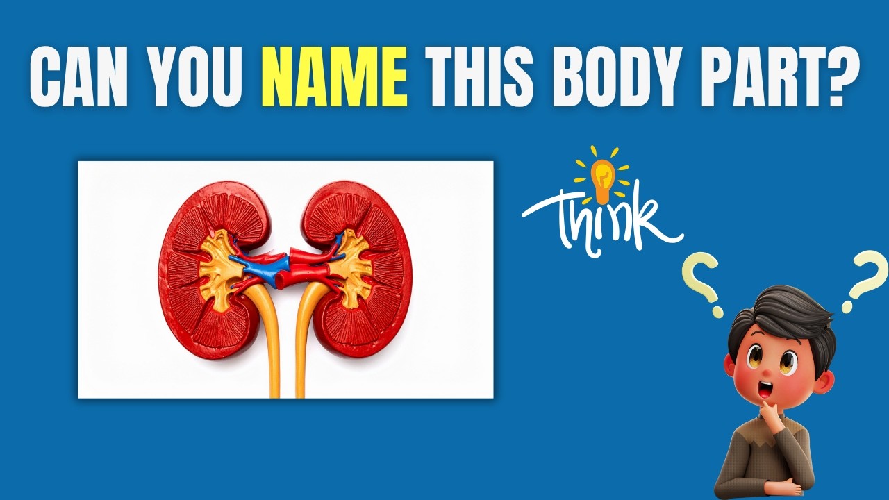 Can You Identify These Human Body Parts? 🧠 | Human Body Quiz