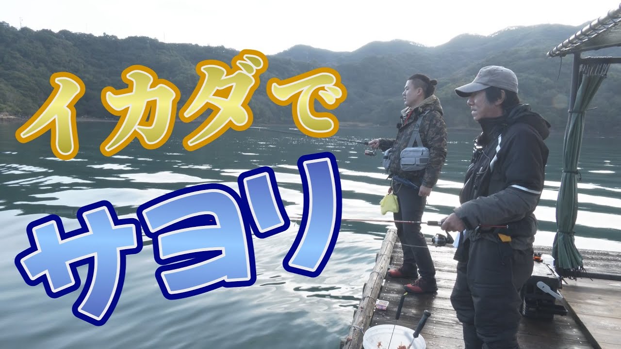 【秋のサヨリ】釣りにいくぜアニキ！鳴門イカダでのんびりサヨリ釣り