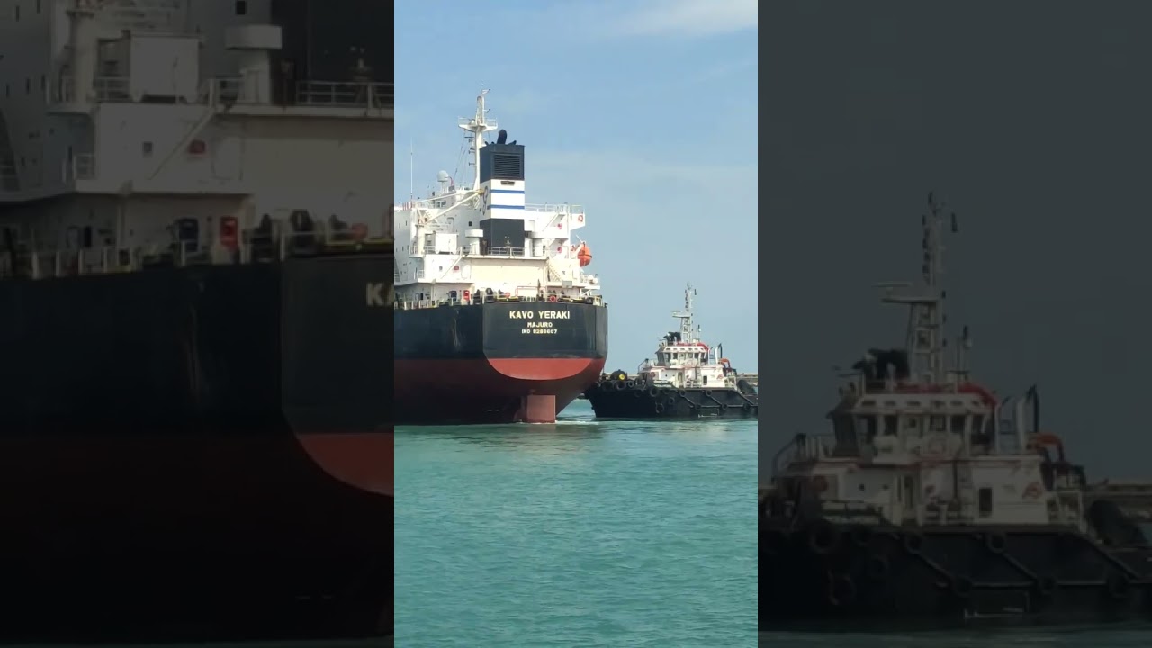 IMPORT SHIP.🚢 #shipment #ship #shipping #subscribe #viral #tranding #shiplife #coalindia #government