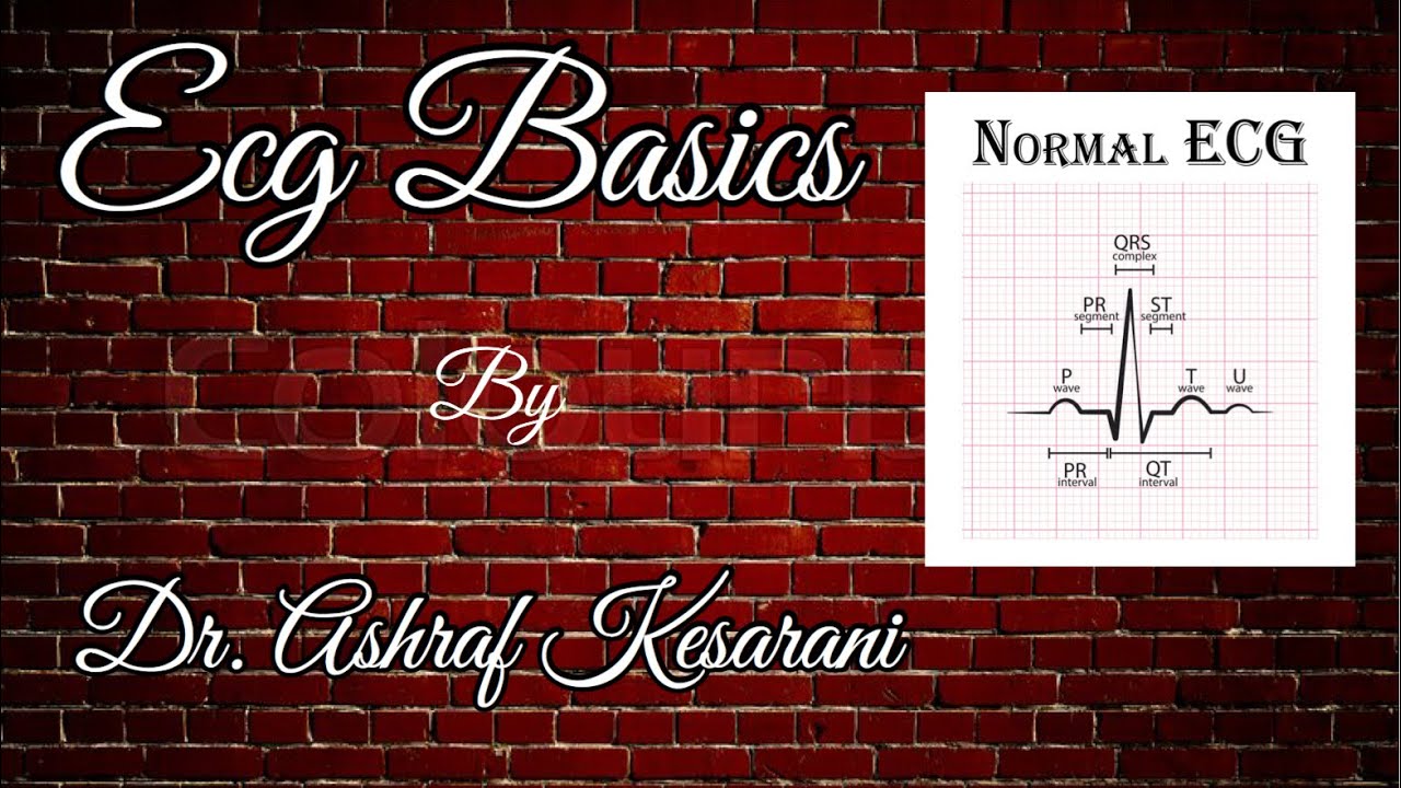 ECG Basics By Dr. Ashraf Kesarani | NEET PG RANK 1 |