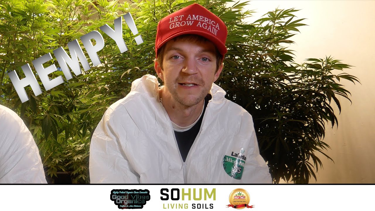 SoHum Soil | Hempy | GVO Seeds | Cannabis TV