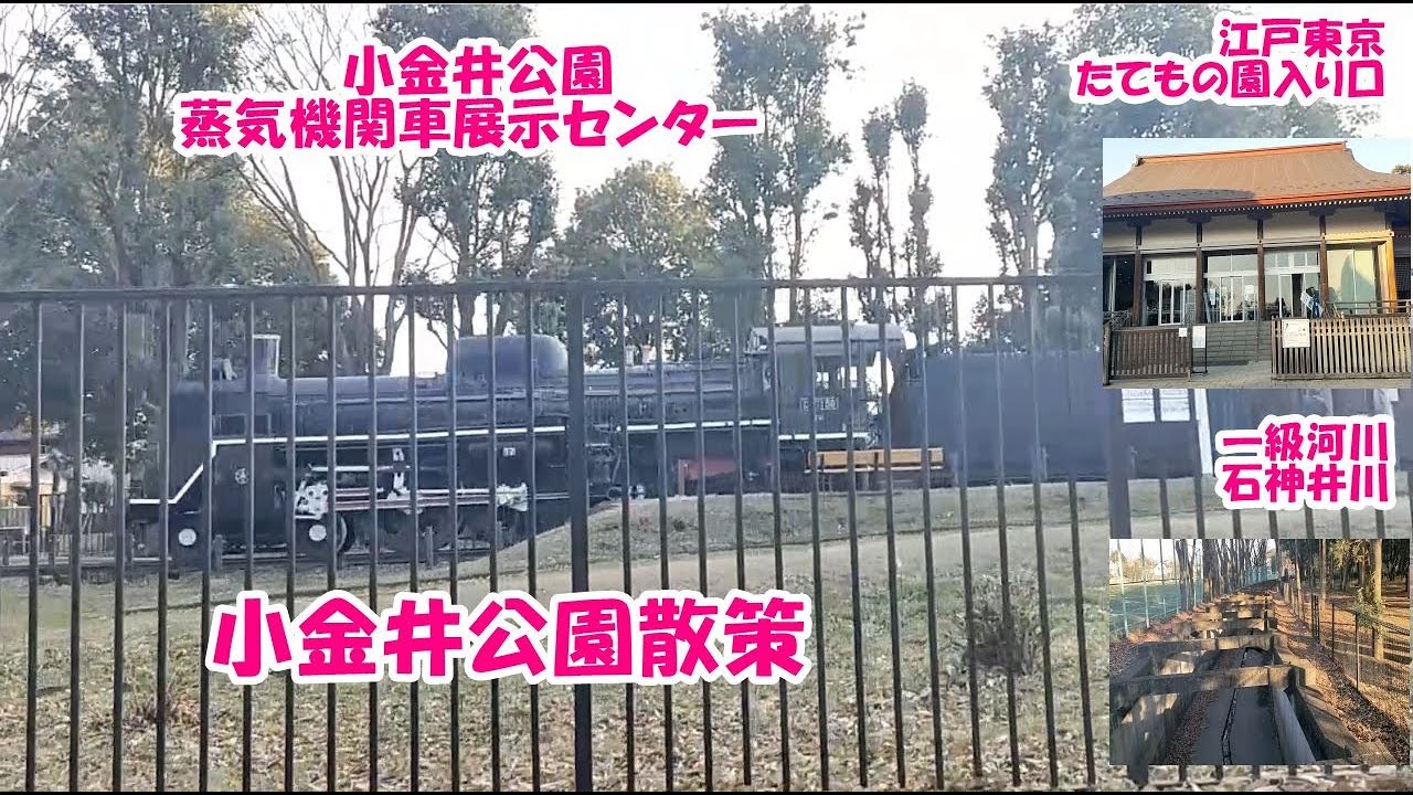 【小金井公園徒然散策2】      玉川上水緑道の小金井エリアの撮影後、小金井公園を散策します。その2