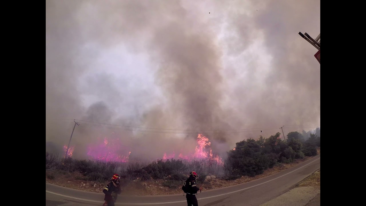 ΕΟΔΠΗ - Πυρκαγιά στα Βίλια Αττικής 19/08/2021 part 2