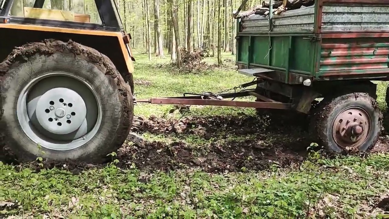 transport drzewa