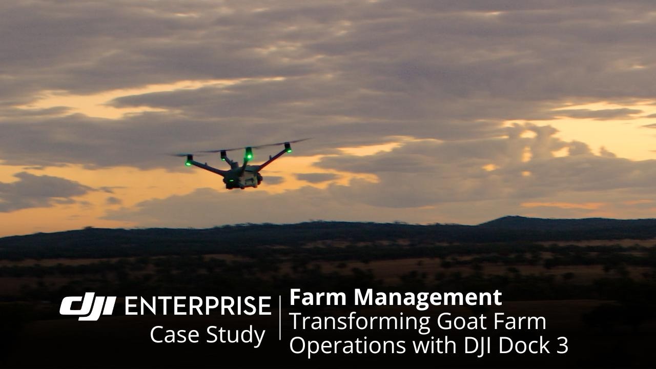 Streamlining Goat Farm Operations with DJI Dock 3