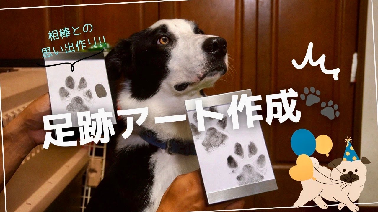 愛犬ボーダーコリーと思いで作り!!