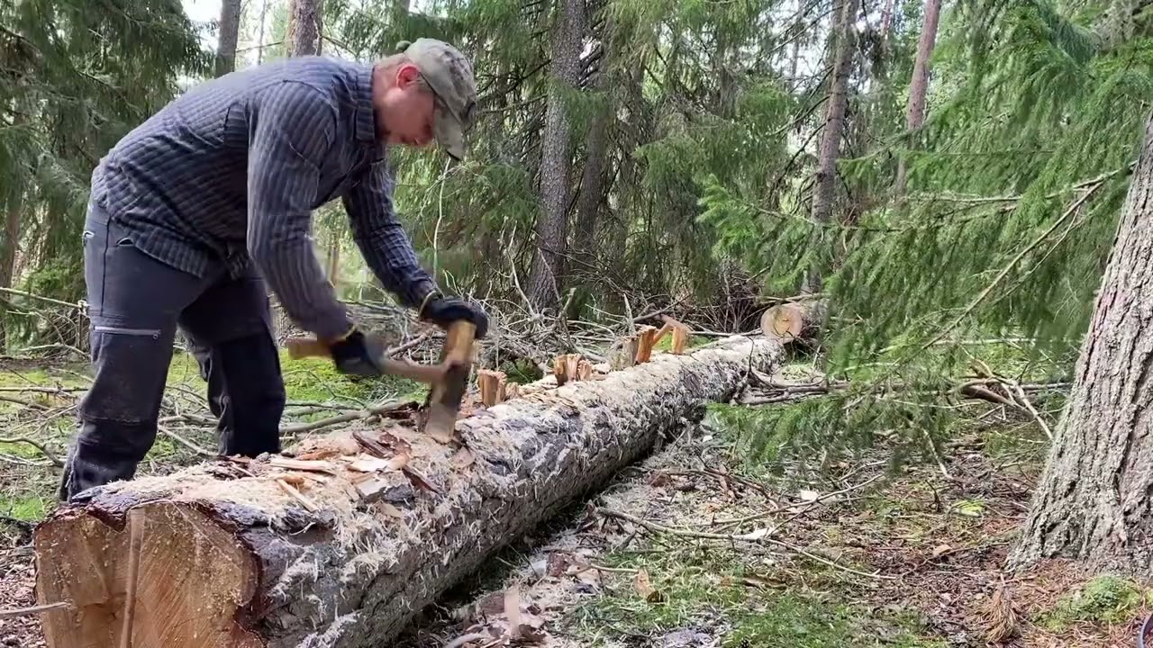 Prepping logs for log cabin build | Lär mig timra eget timmerhus