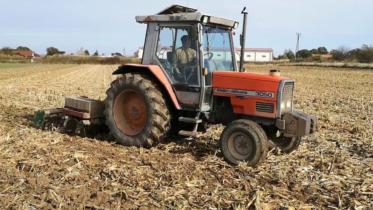 Uprawa po kukurydzy na ziarno Massey Ferguson & brona kompaktowa SAM