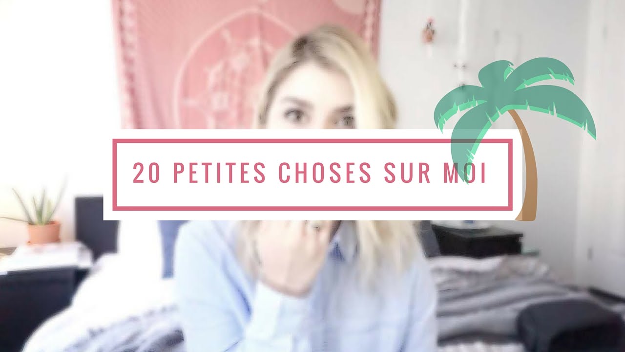 - 20 Petites Choses Sur Moi -