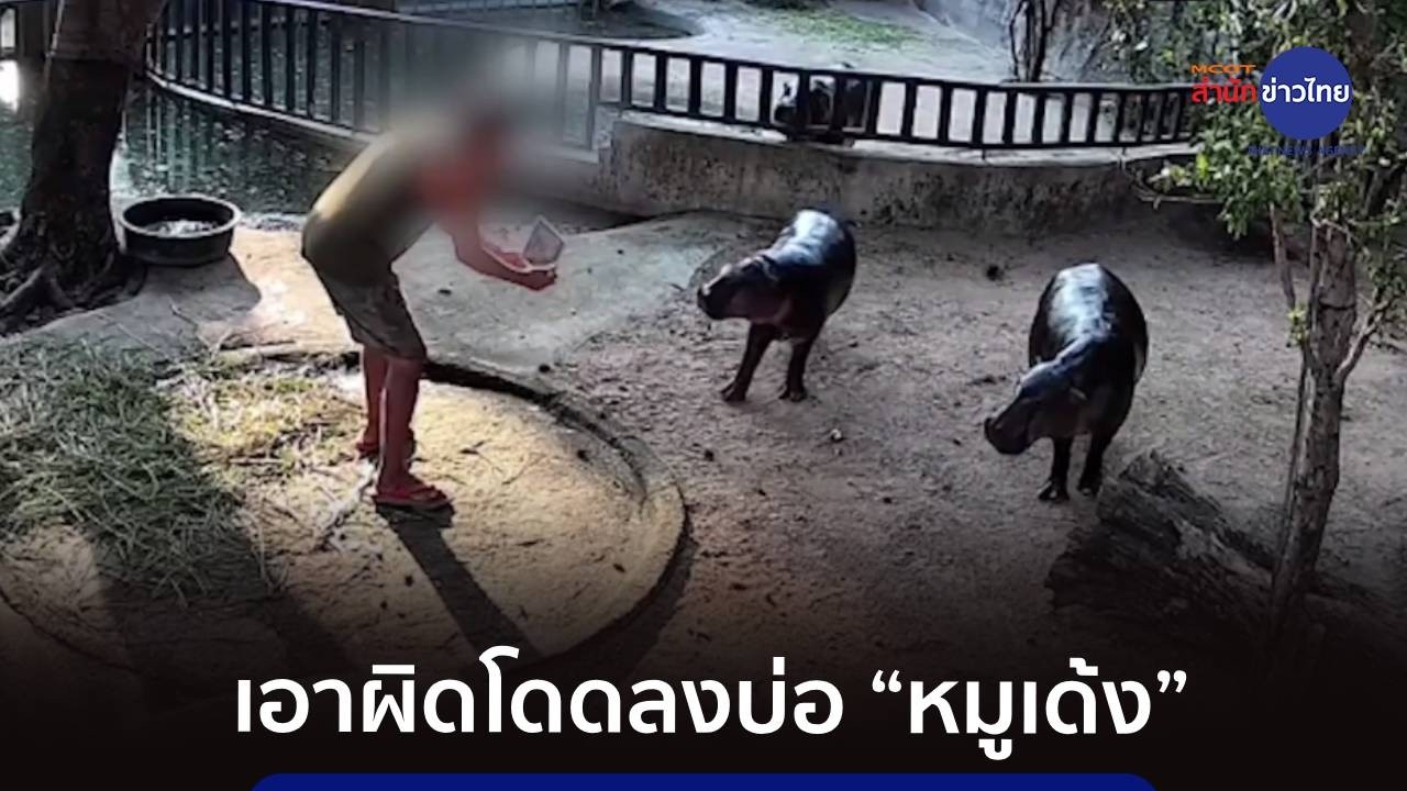 เอาผิดถึงที่สุด หนุ่มกระโดดลงบ่อ “หมูเด้ง”