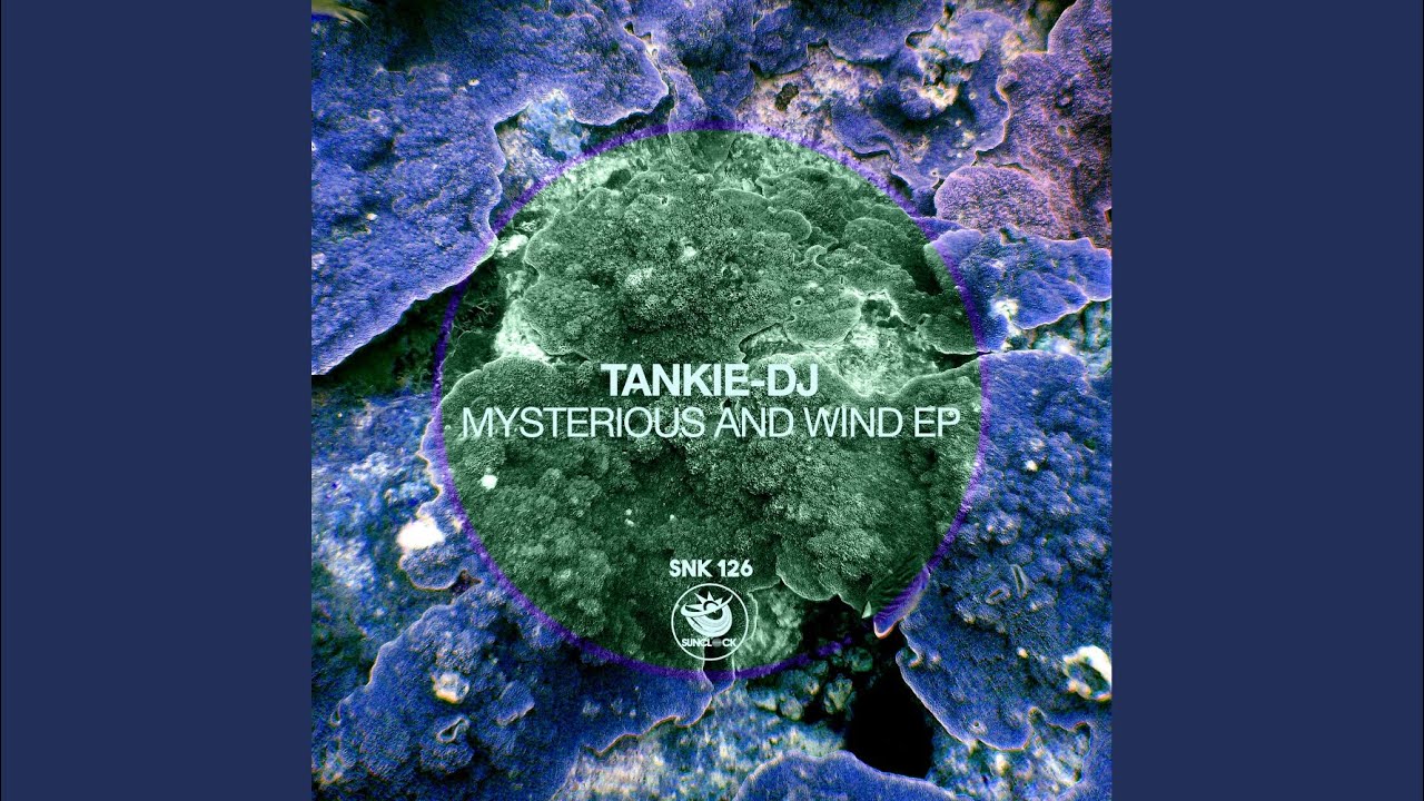 Moogy Woogy (Original Mix)