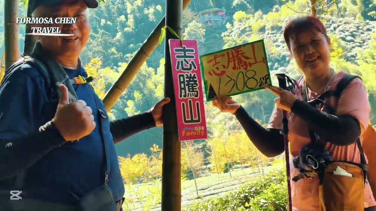 銀杏黃・茶園綠・竹園風・柳杉光｜溪頭四秀全紀錄20251208