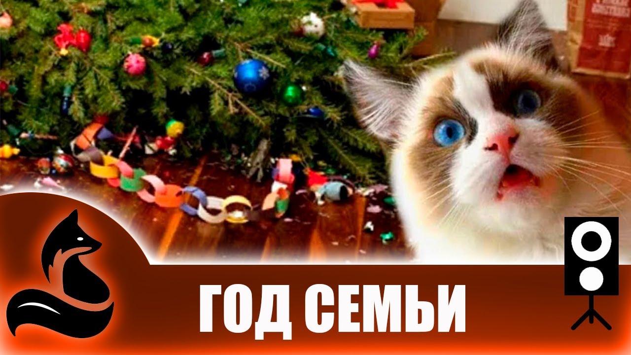 Группа «ММД» - Год семьи