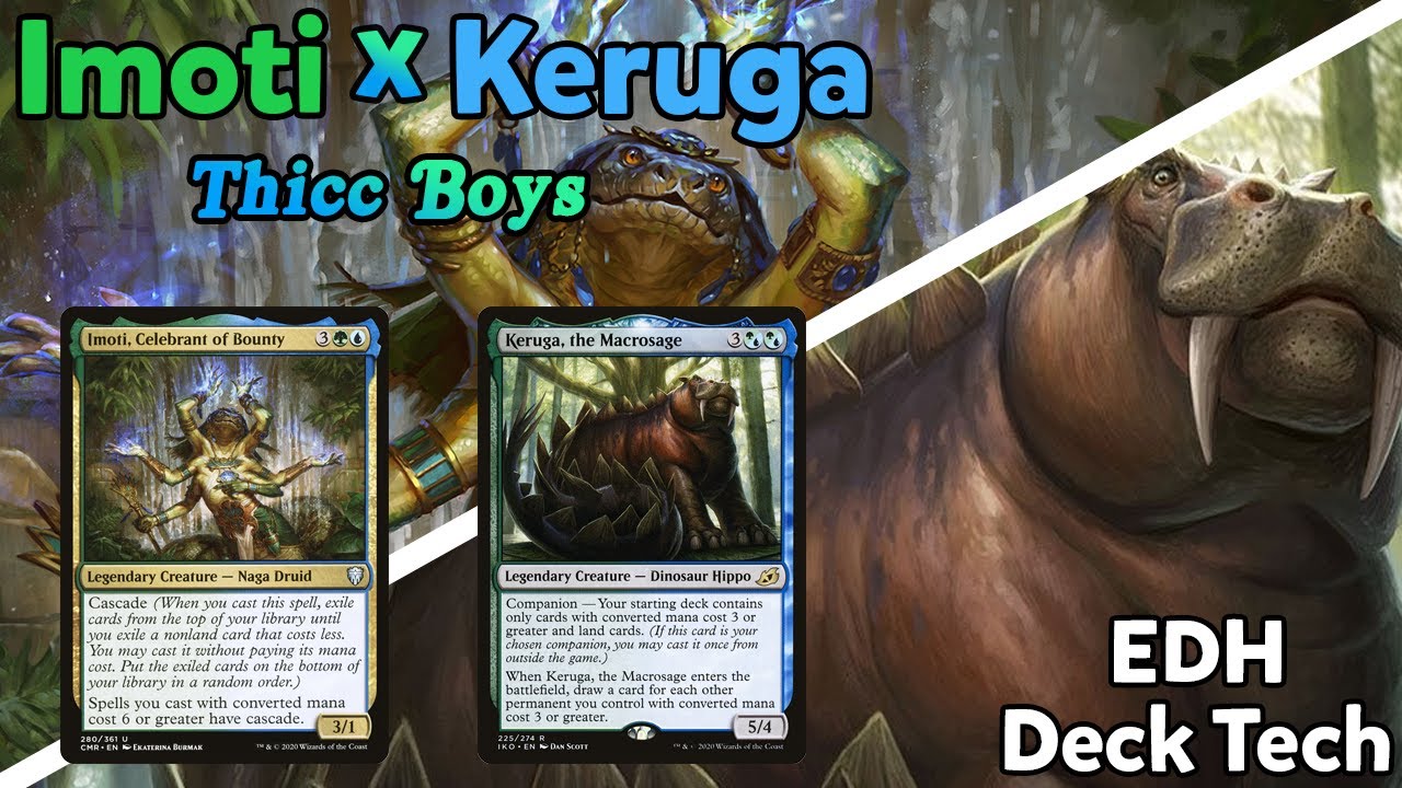 Imoti, Celebrant of Bounty with Keruga, the Macrosage Companion - EDH Deck Tech "Thicc Boys"