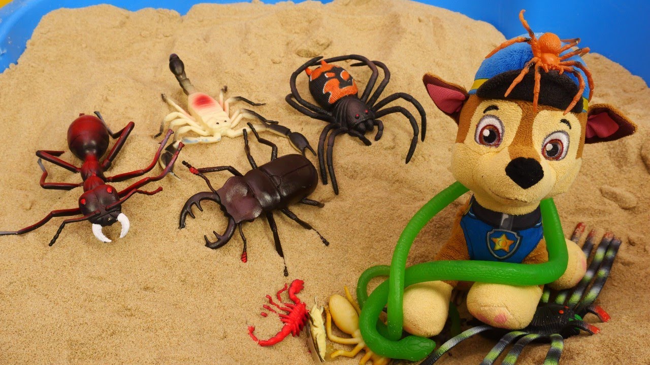 Paw Patrol ekibi oyuncakları: Chase en çok neyden korkar? Korku sandığını.