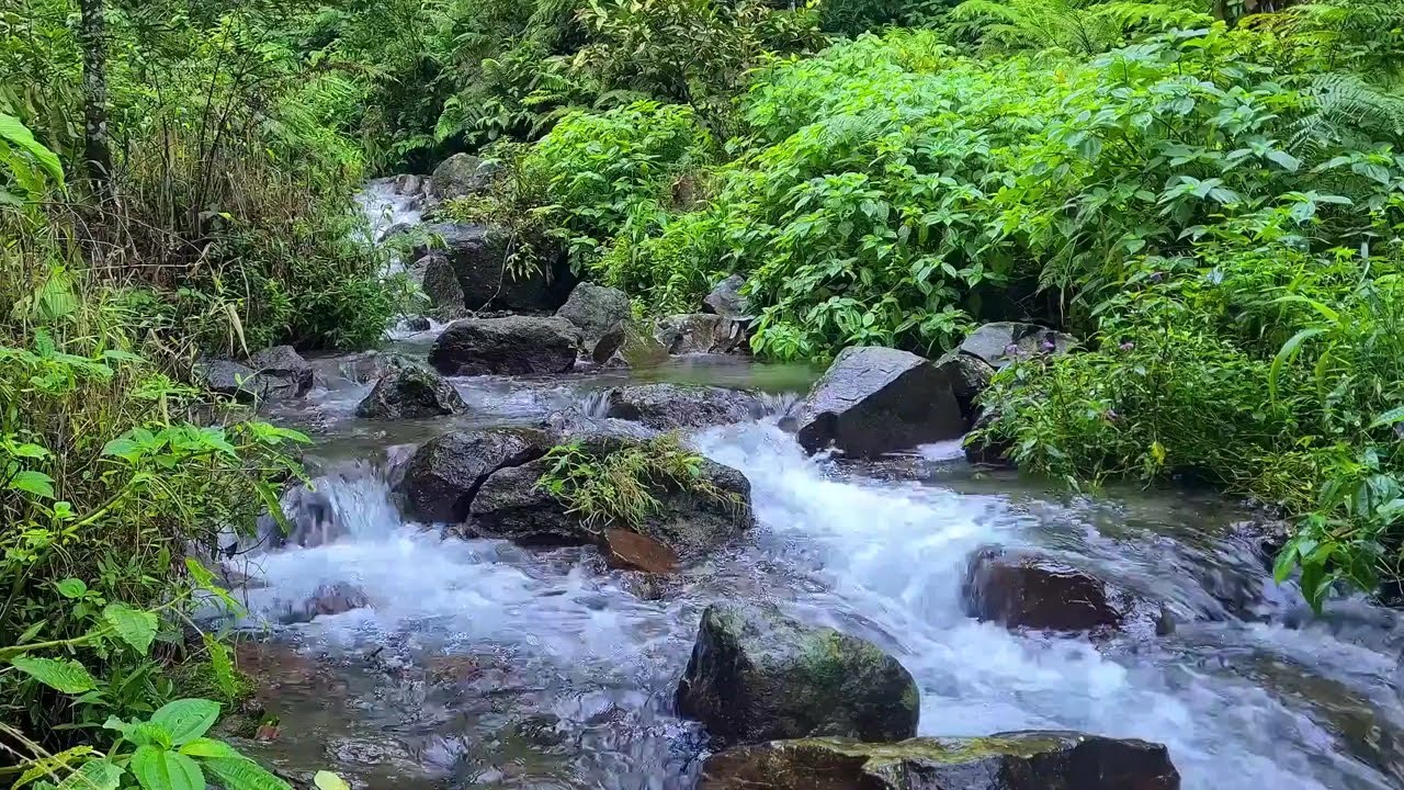 River Focus Ambience | Gentle Nature Sound for Concentration and Calm