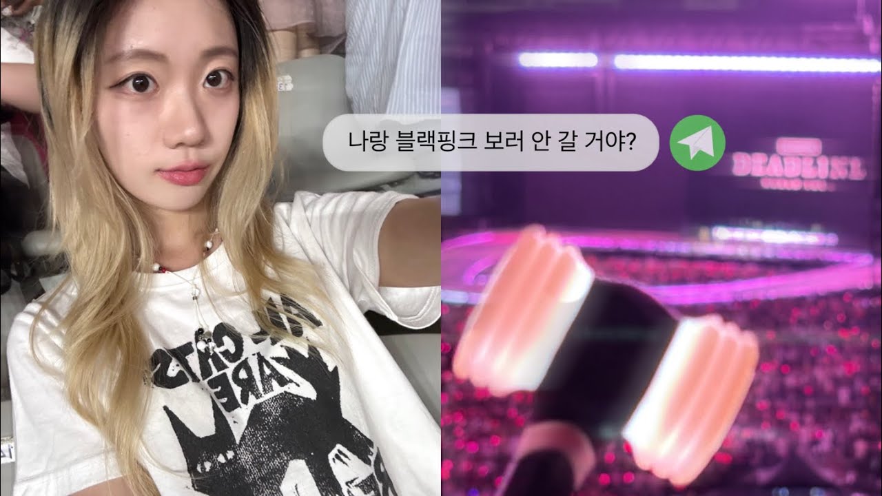 [vlog] 블랙핑크 고양 콘서트 다녀왔어요🖤🩷