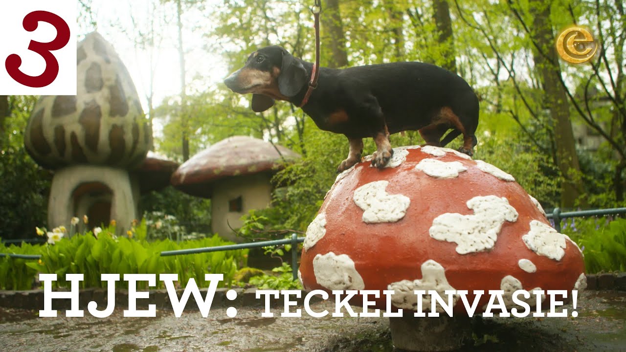Teckel invasie! - Heb je een wens? - Efteling