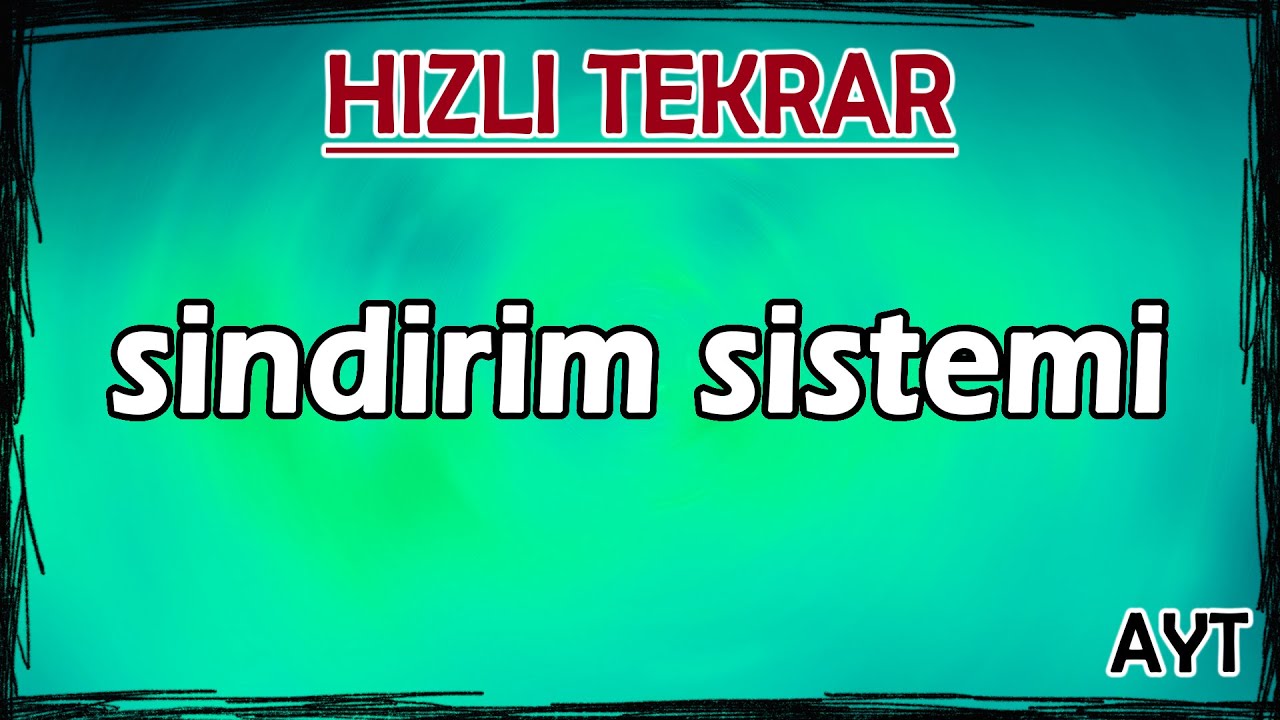 Sindirim Sistemi - Hızlı Tekrar