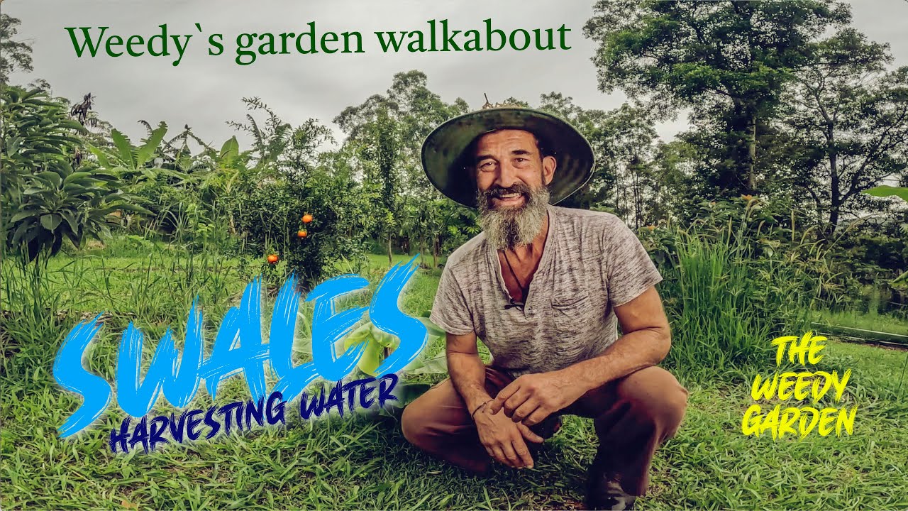 Saving Water and Nutrient with Swales: Weedy&rsquo;s Garden Walkabout | Efficient Swales in Weedy&rsquo;s Garden