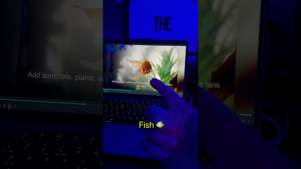 This is what AI generated fish videos could look like 😬 #aquarium #fishtank #aifail