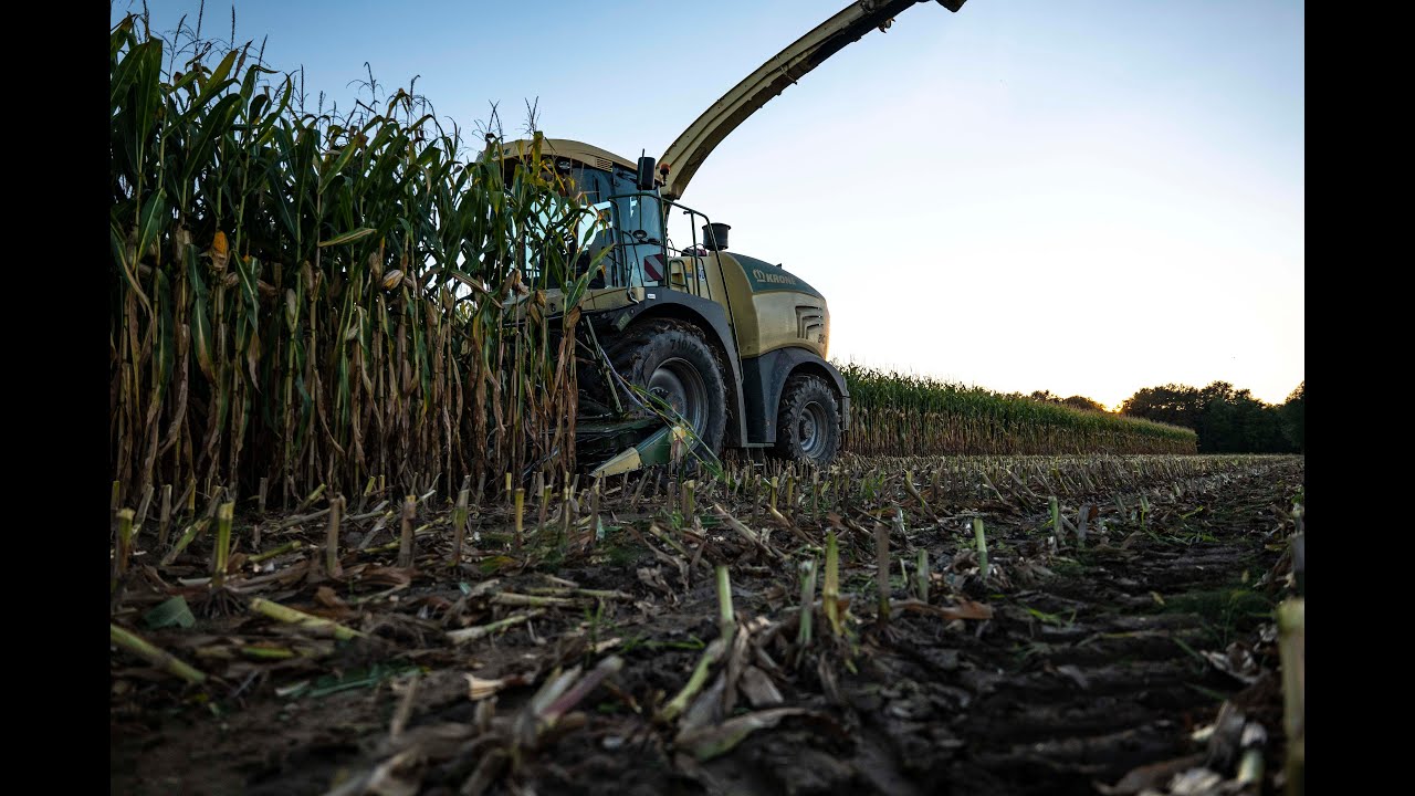 [2x Deutz Fahr, 4x John Deere & Krone BigX 530] SILAŽA/ SILOSOWANIE - KMETIJA KUHAR