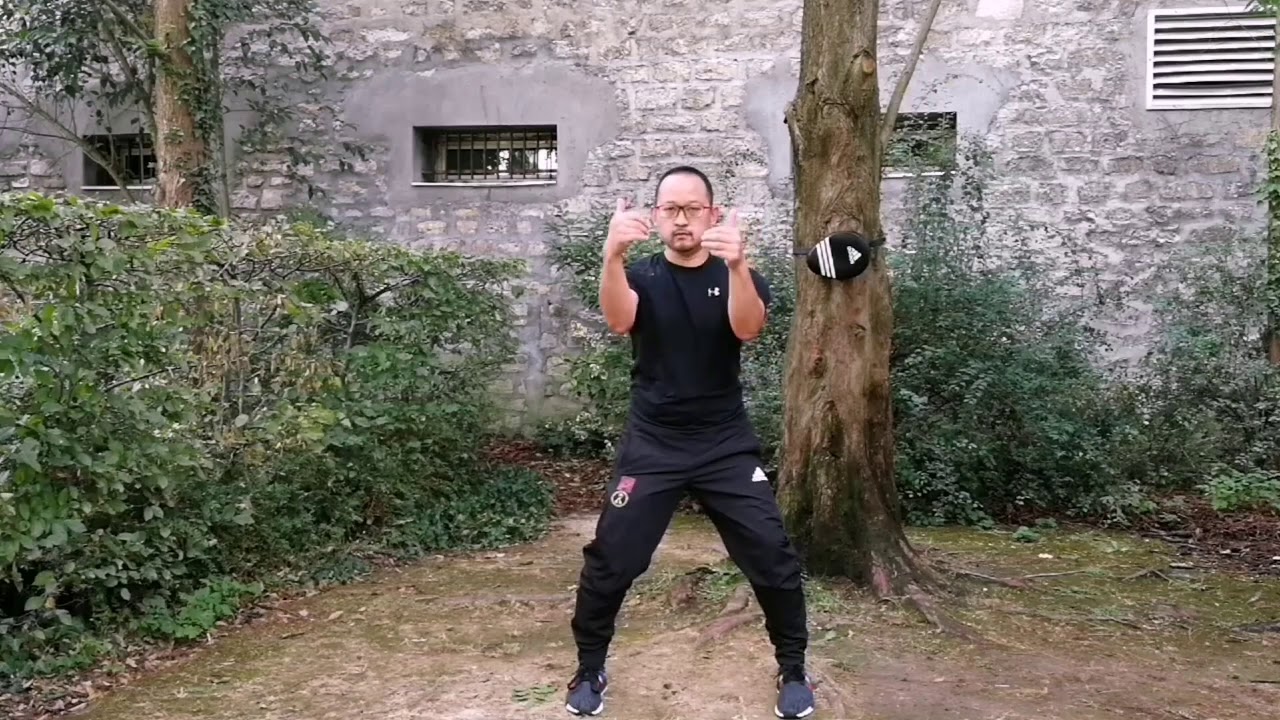 Wan Kam Leung Practical Wing Chun (France) - Siu Lee Teck Meng - compilatie of forms