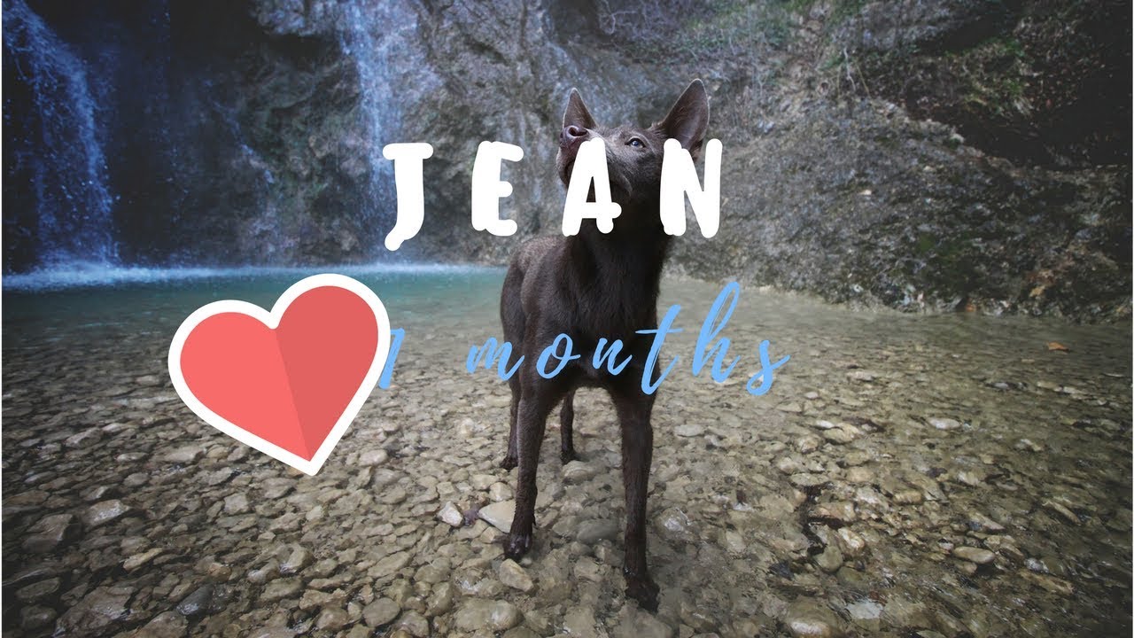 Jean │11 months