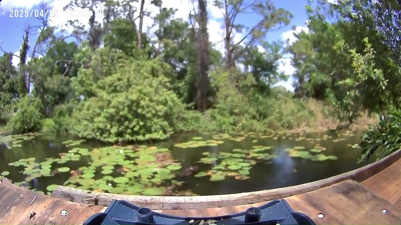 Lake Grassy Live   From the Obscure Destinations Studio Private Dock   Come hang out with us!   Made