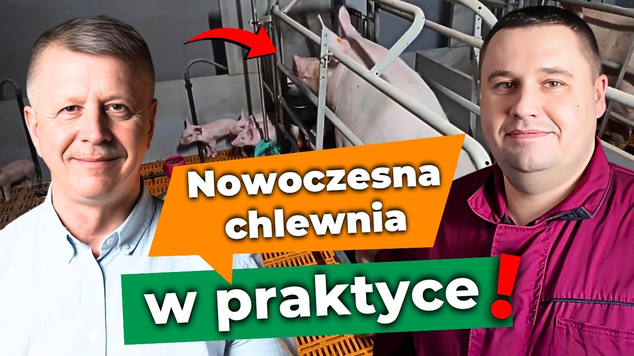 Wydajna i nowoczesna HODOWLA ŚWIŃ - 7 lat doświadczeń w 15 minut! Bogusław Prałat | FarmShop