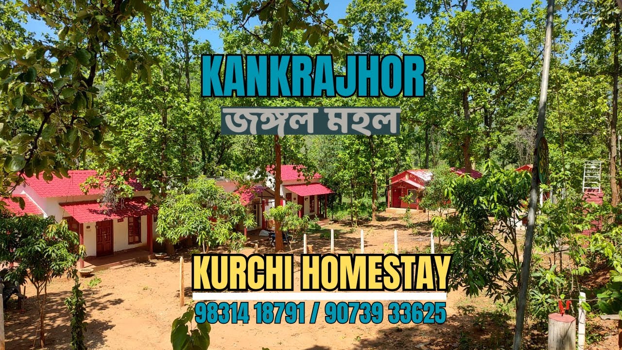 KURCHI HOMESTAY | কাঁকড়াঝোড়  বেলপাহাড়িতে HOMESTAY | CHEAP AND BEST Top 10 Homestay in Kakrajhor |