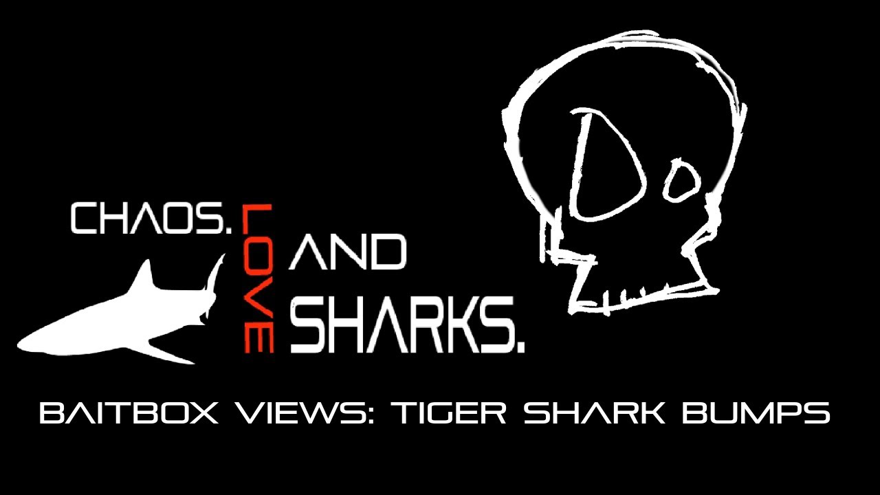 Baitbox Views: Tiger Shark Bumps