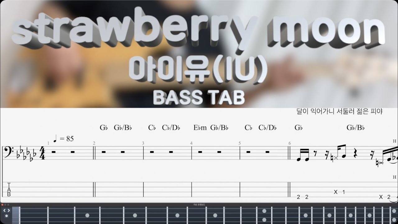 [아이유IU] strawberry moon 베이스 커버 bass cover (+BASS TAB)