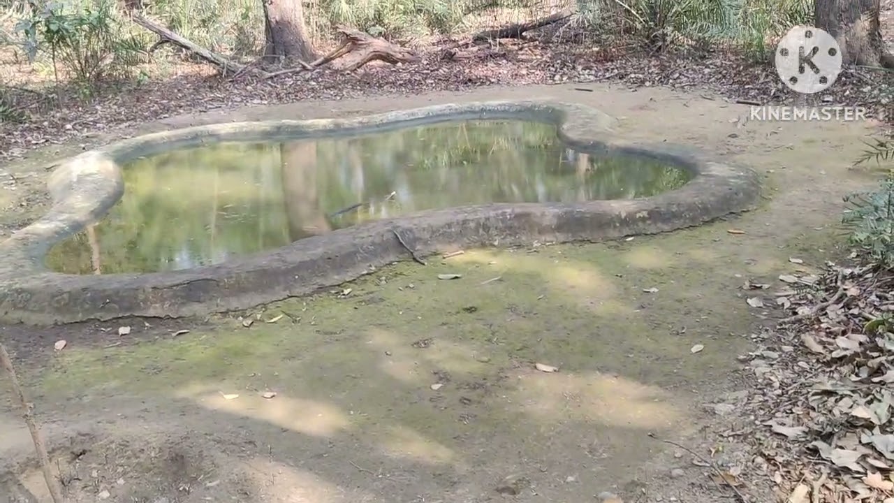 Peacock Park@Ecogreen🍃environment 