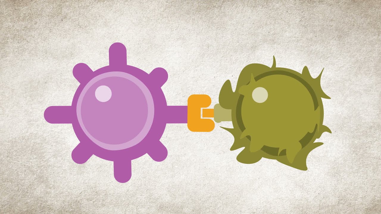 Inmunoterapia y Cáncer de Riñón | National Kidney Foundation