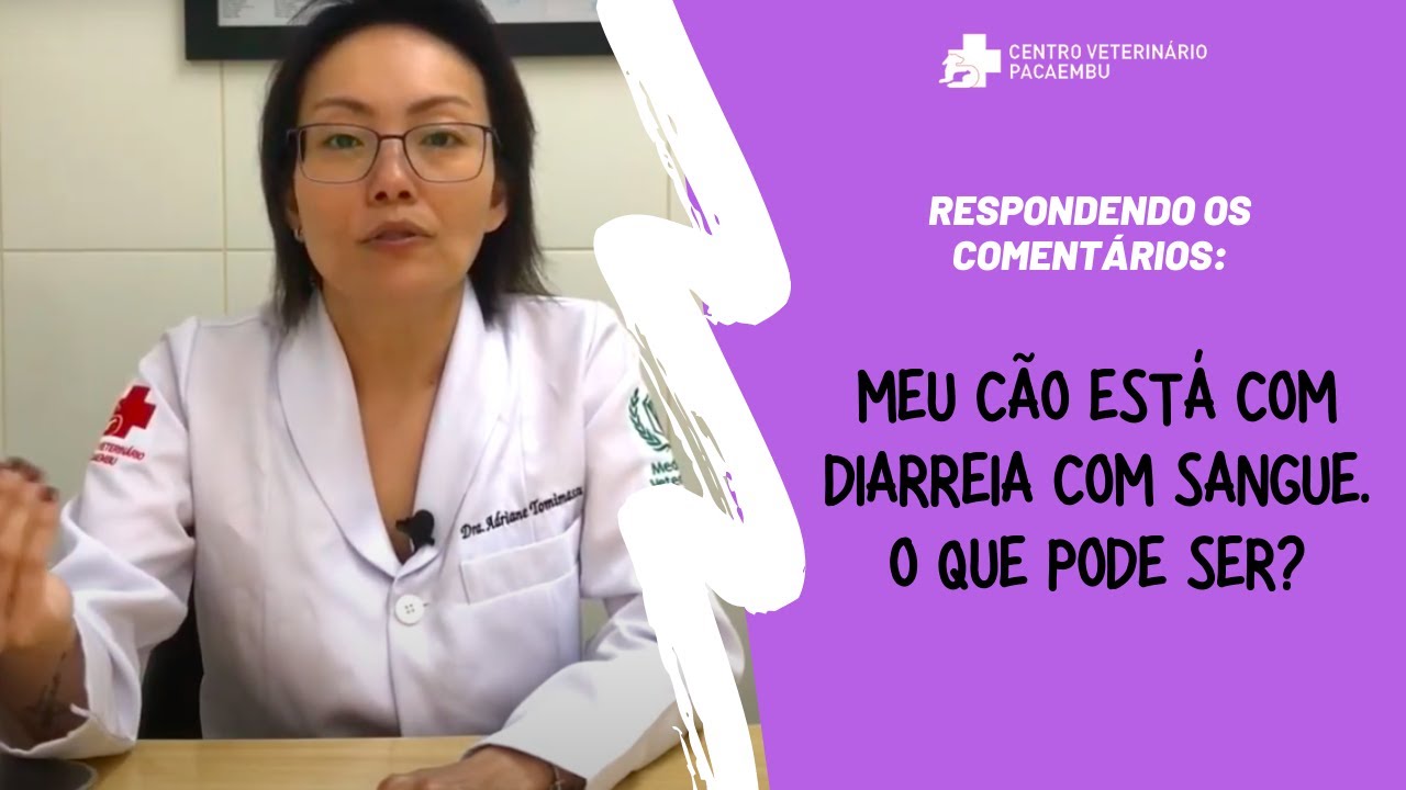 Meu cachorro está com diarreia com sangue. O que pode ser?