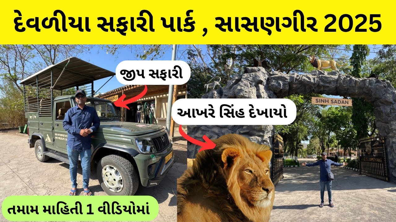 jungle safari in devaliya park sasan gir | gypsy માં કરો સિંહદર્શન | devaliya park sasan gir