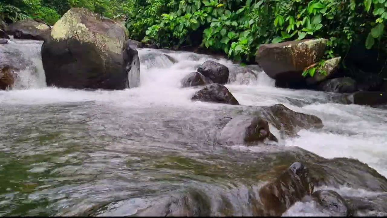 Steady Stream Water Ambience For Focused Mind & Calm Creative Flow 4K • 1 Hour River Stream Ambience