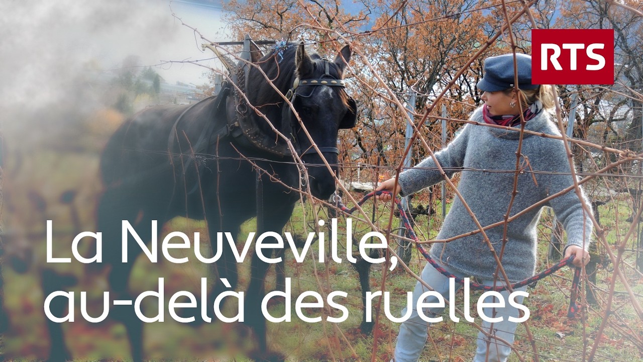 Une cité médiévale suisse bien vivante: la Neuveville