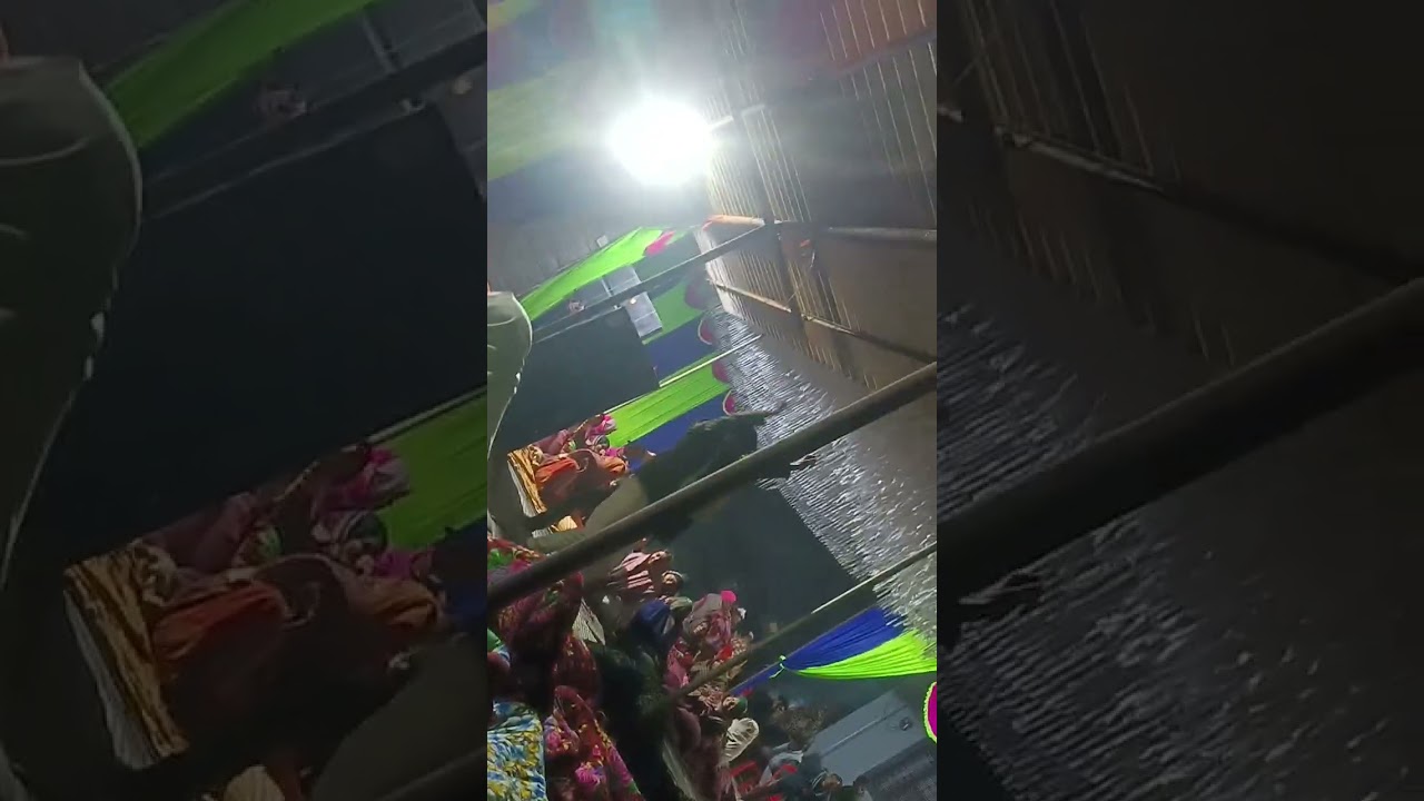 फाग महोत्सव #trading #song #viral #dance 